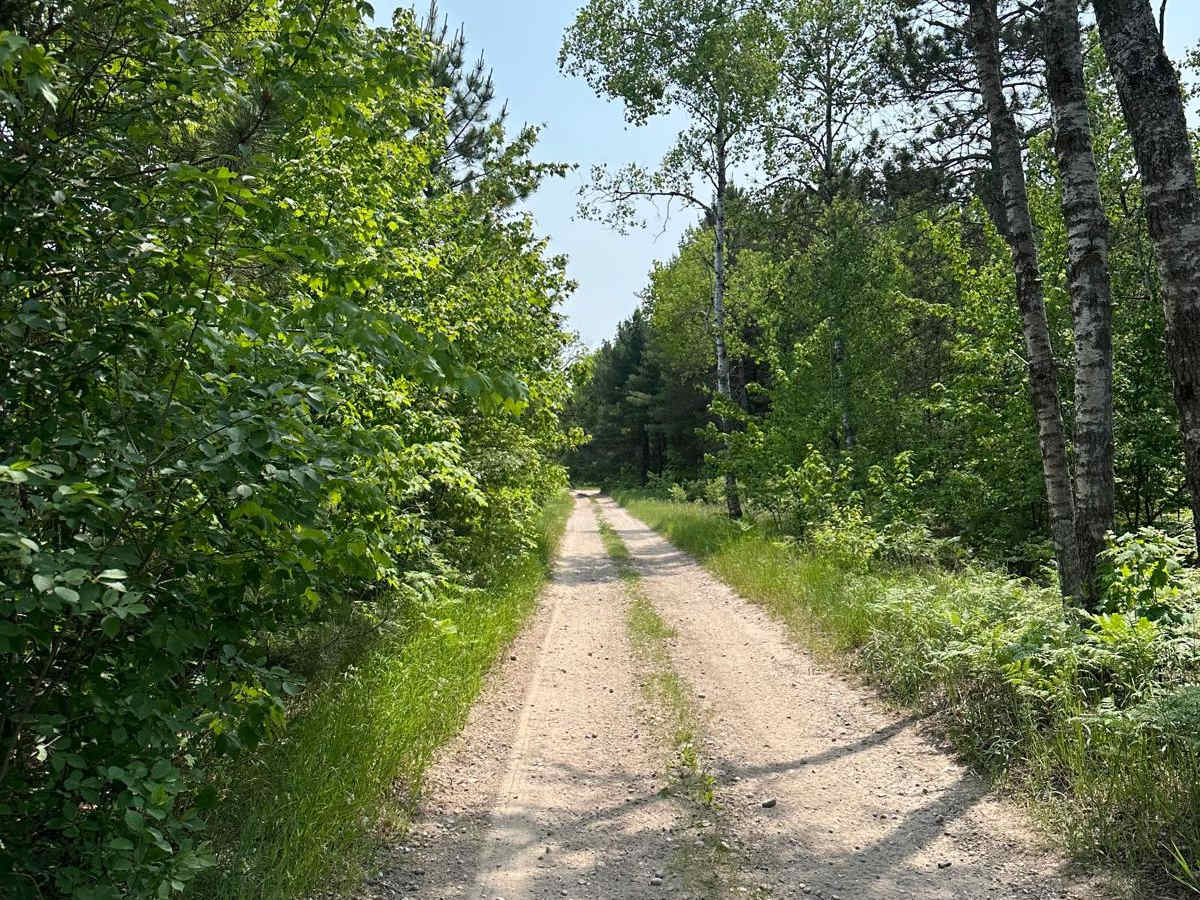 South Haze Road Part 2 trail photo