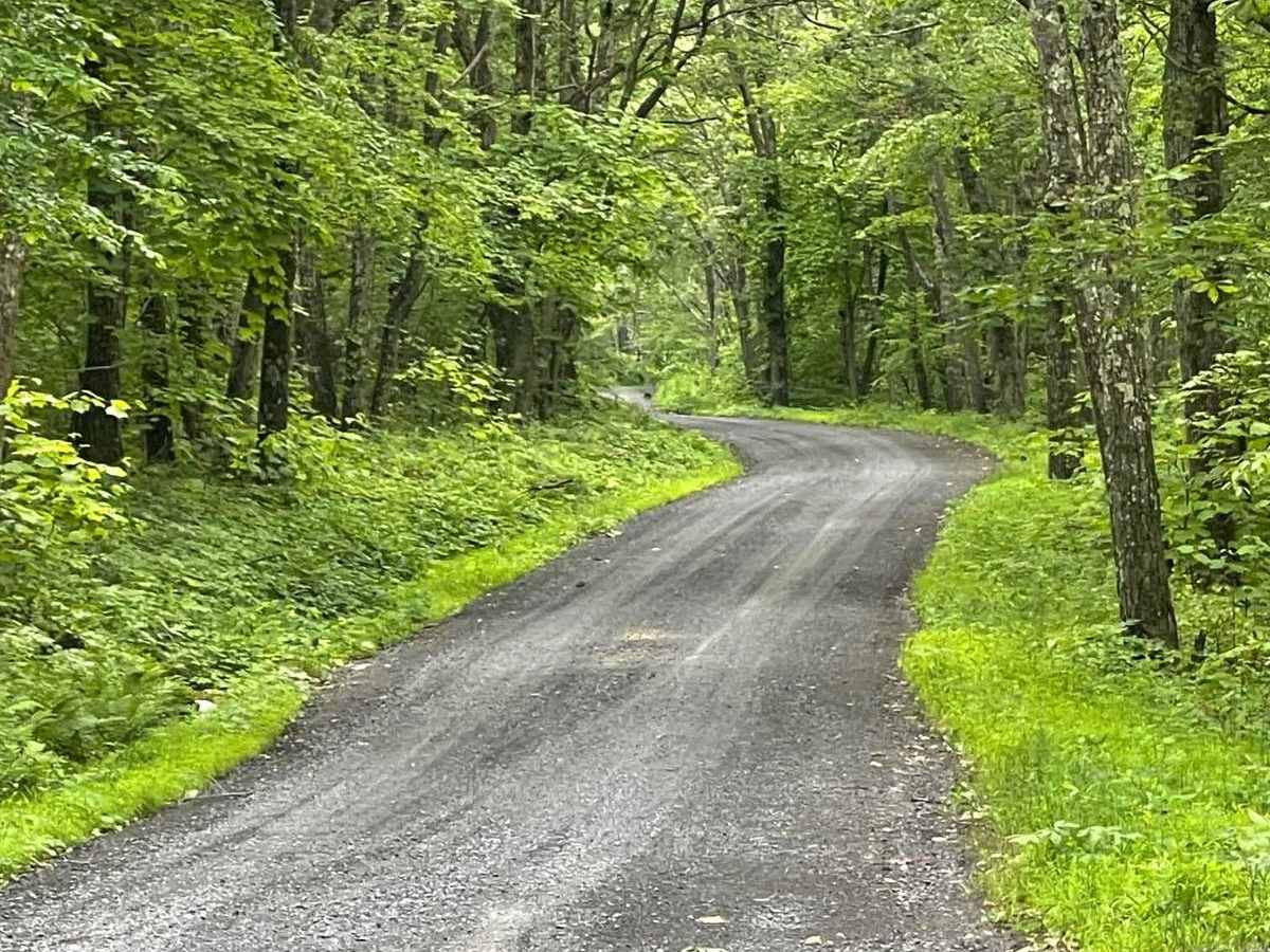 Kalbfleish Road photo 2