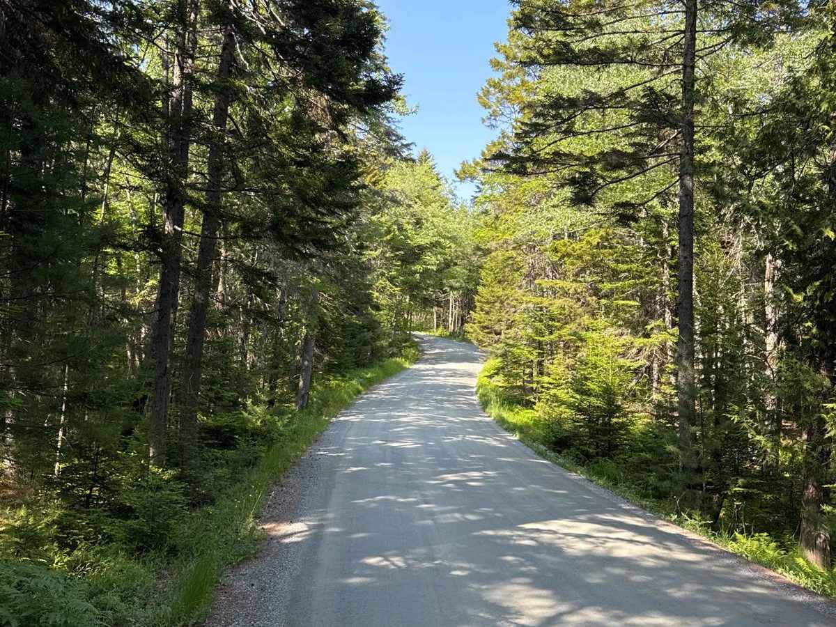Seal Cove Road trail photo