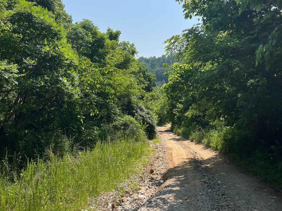 Trail 7 photo 5