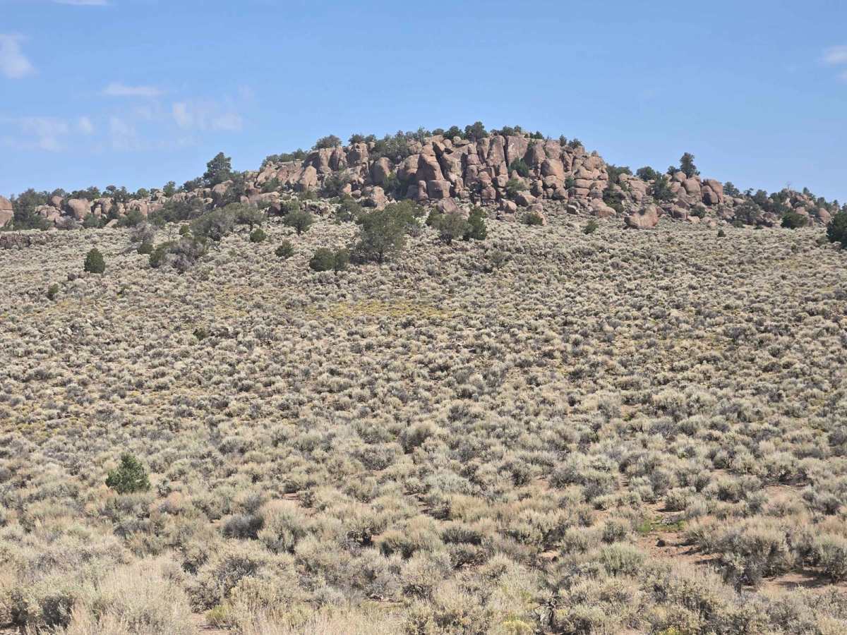 Parker Mountain Trail 14 to Junction Shallow Hollow Road trail photo