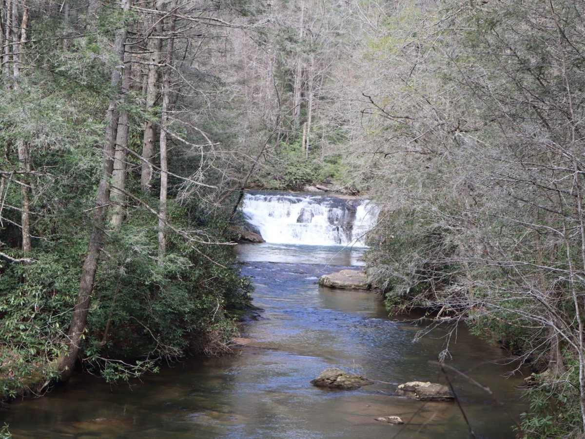 Dicks Creek trail photo