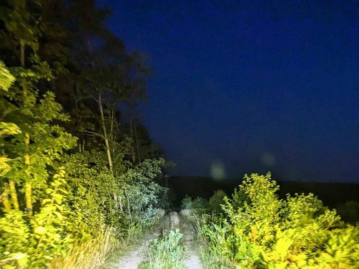 West Higgins Route photo 2
