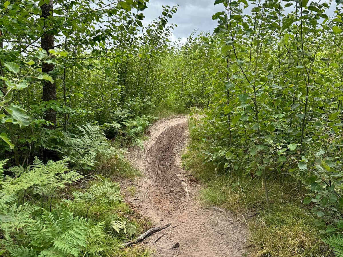 Sand Lake Motorcycle Trail photo 6