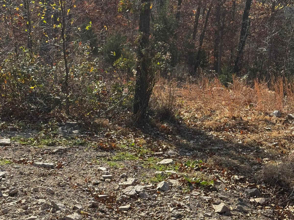 Explorer Hill photo 3