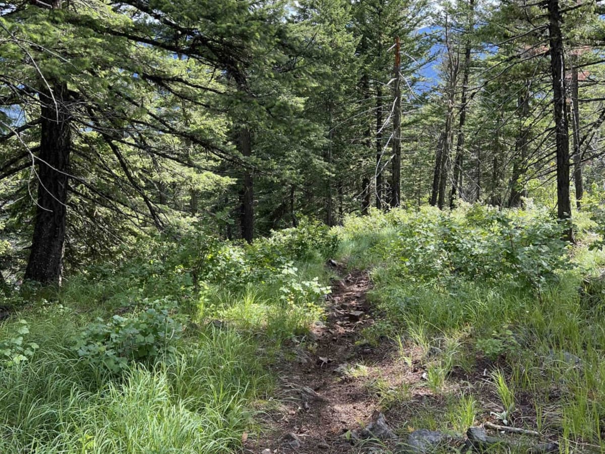 Jewel Gulch photo 6