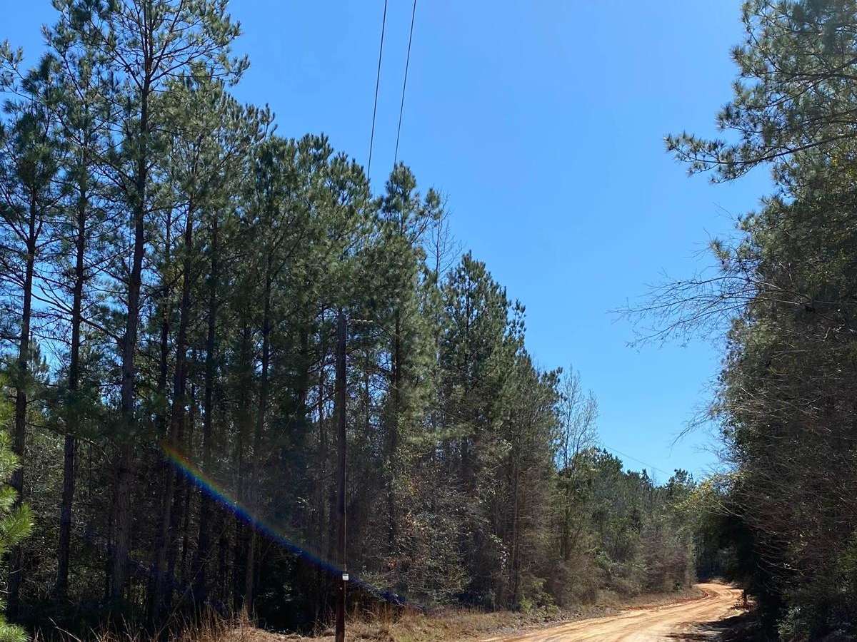 Jake Anding Trail trail photo