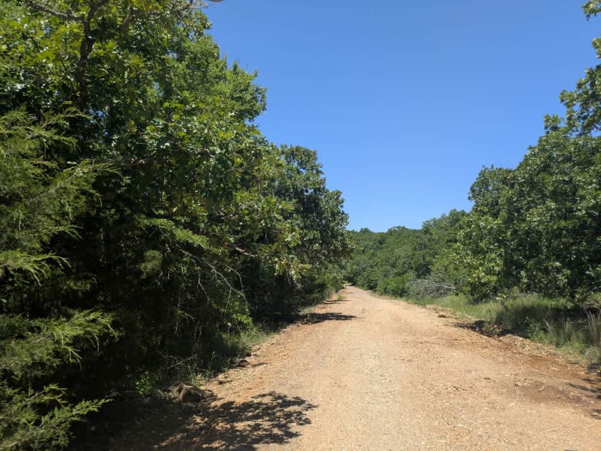 South Burnt Cabin Road - Northern Portion photo 4