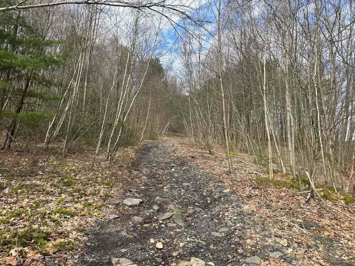 Ashland 122 photo 5