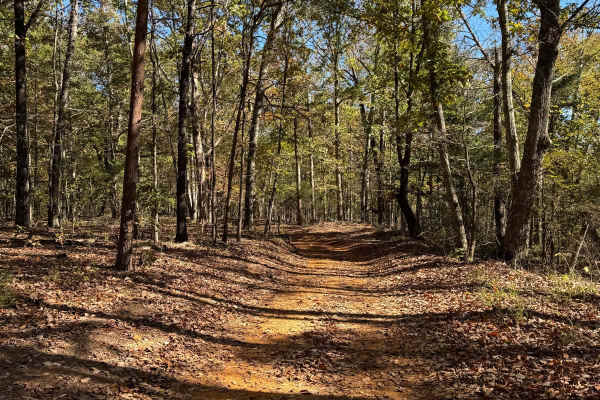 Blue Polaris Outfitter Trail