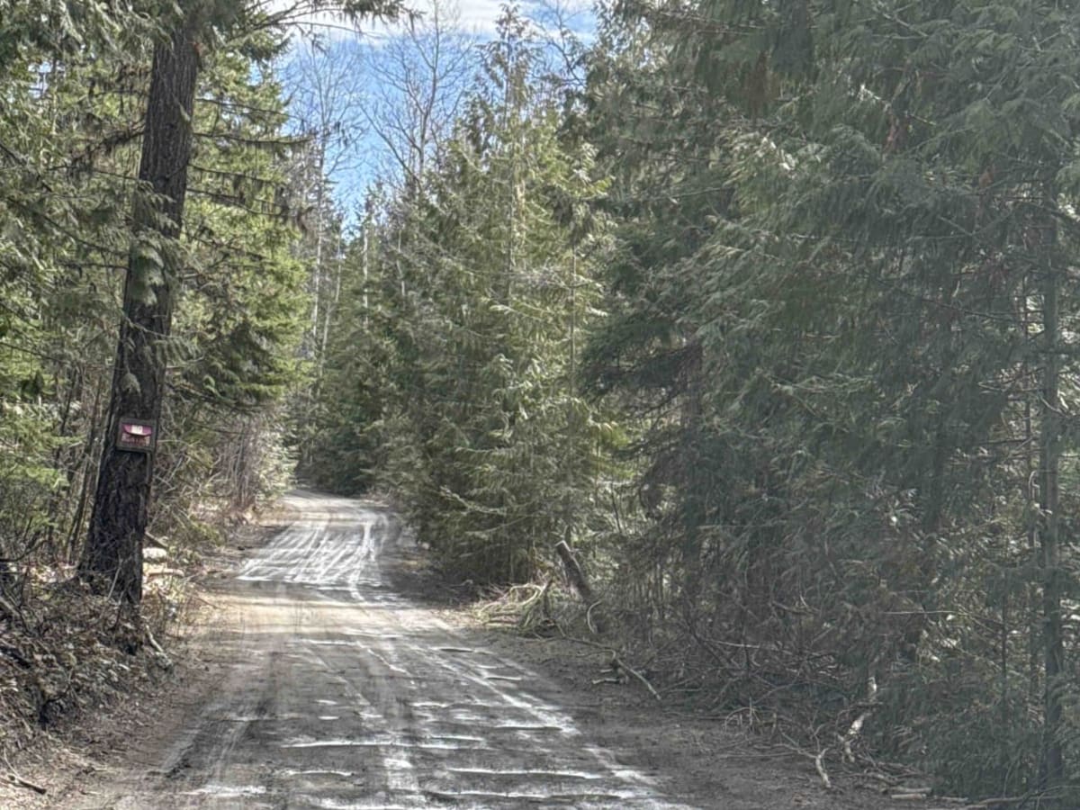 Spanish Lake via Silvernails Road photo 3