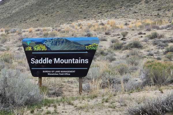 Sandy Saddle