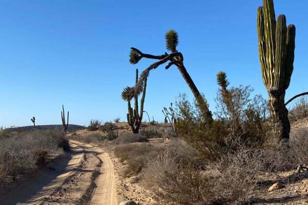 Four Corners East
