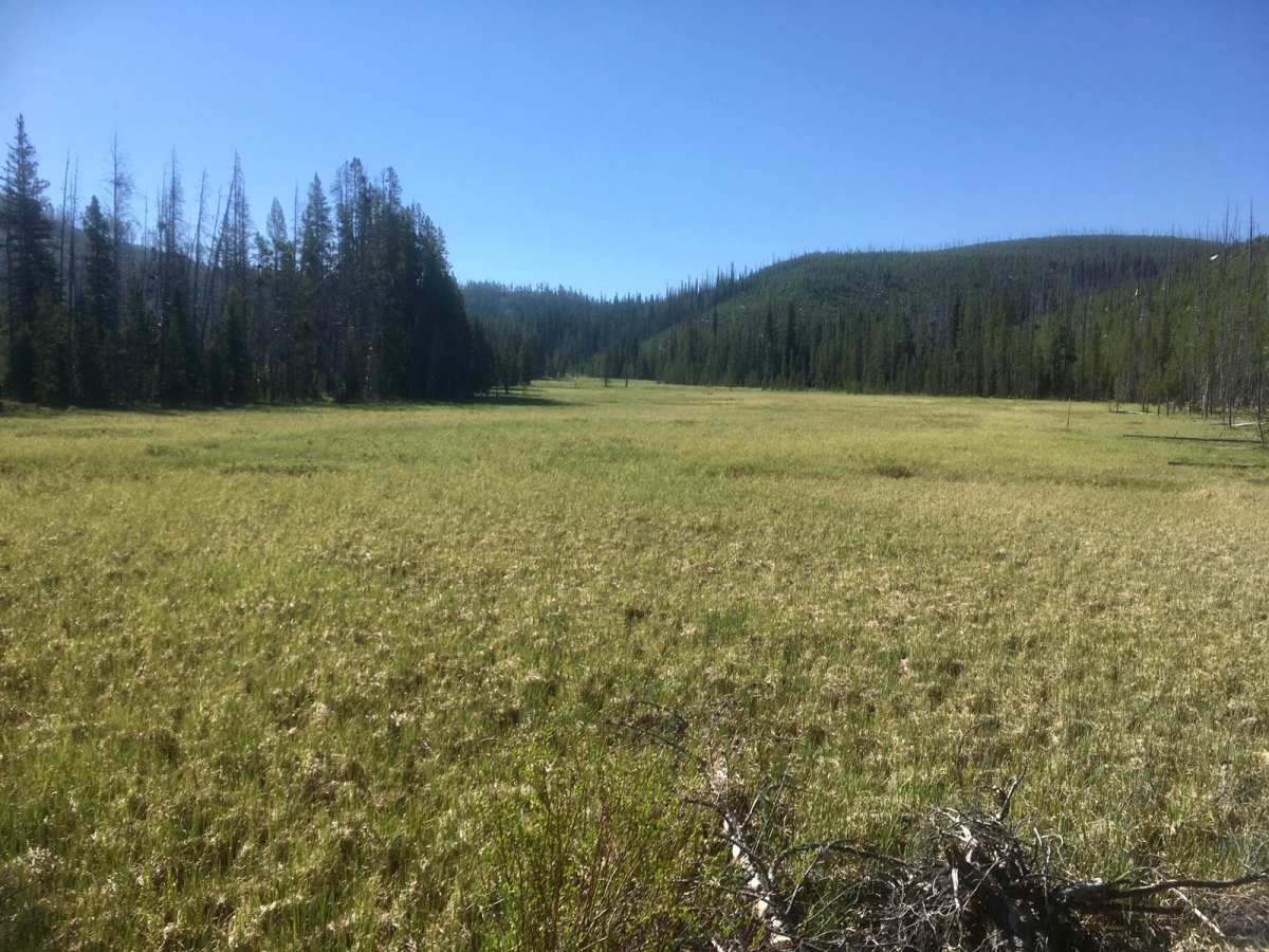 Sand Basin Road photo 5