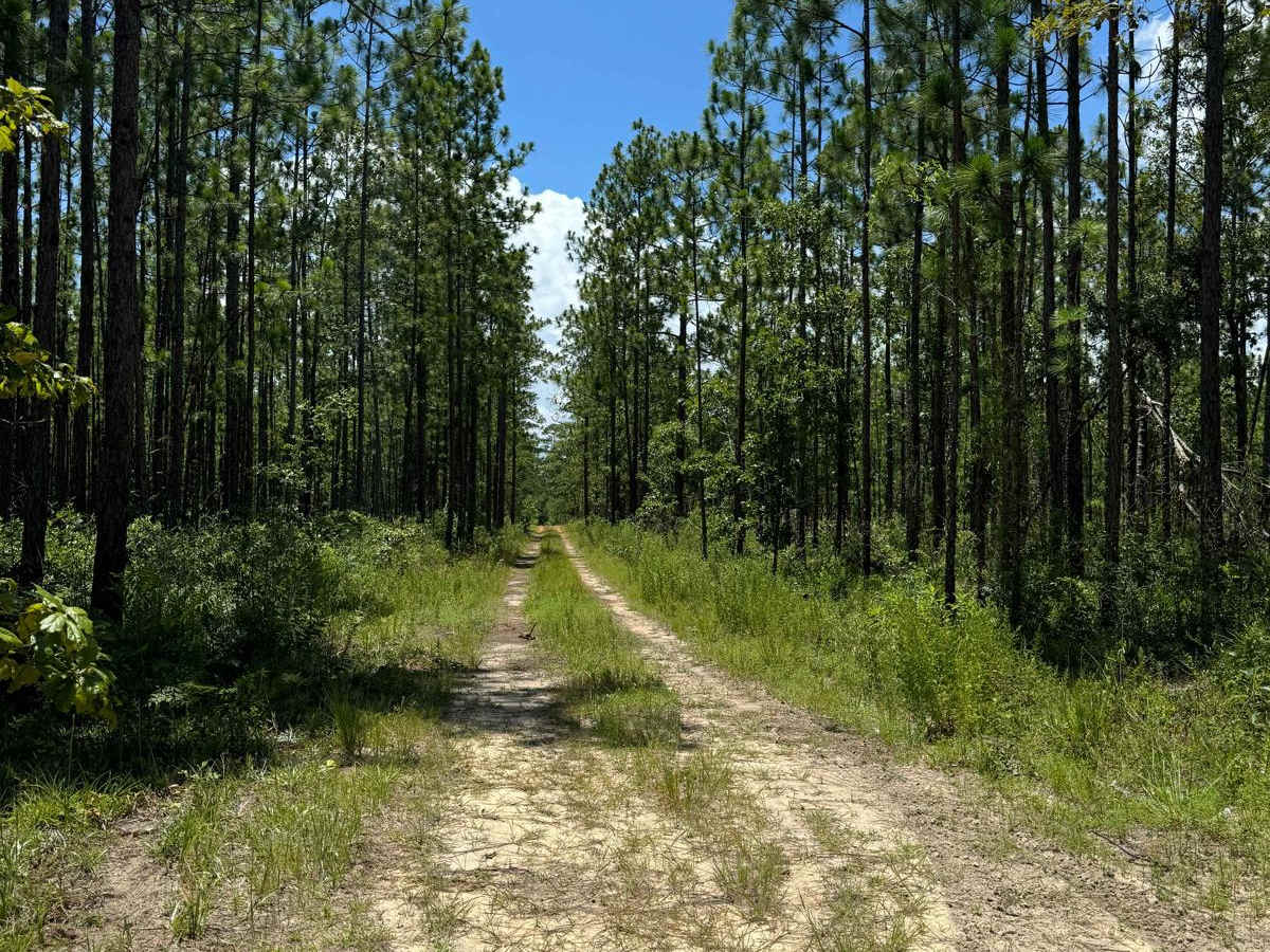Blackwater River Route 1 photo 5