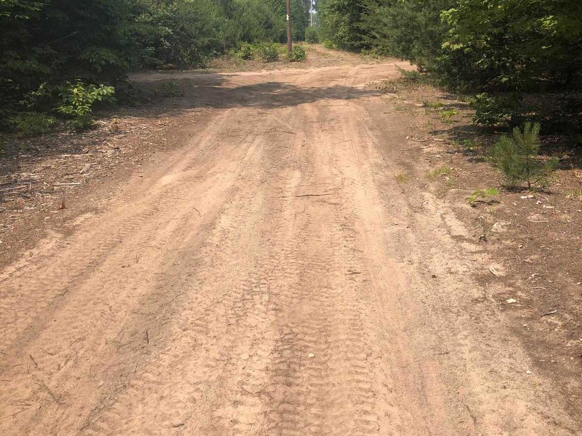 Lamb Road Loop trail photo