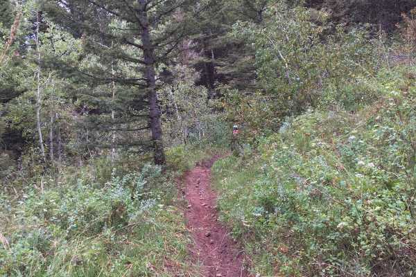 Antelope Creek to Fall Creek