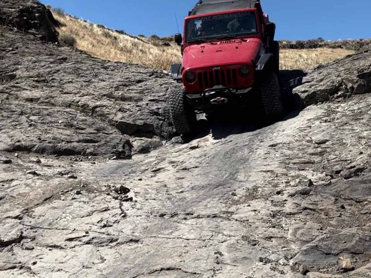 Lost Trail photo 2