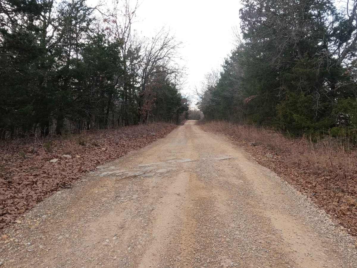 Skyline Drive - FS 150 photo 6