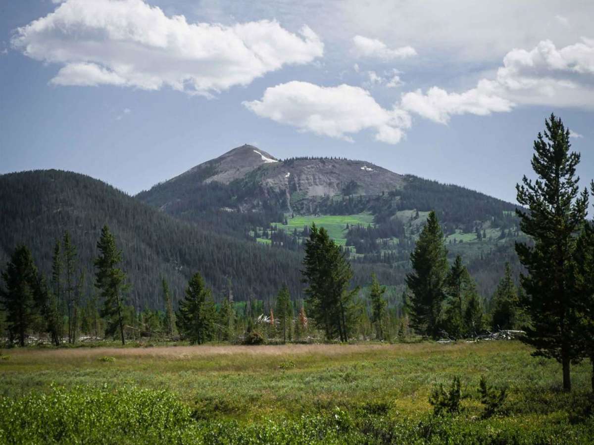 Farwell Connector photo 3