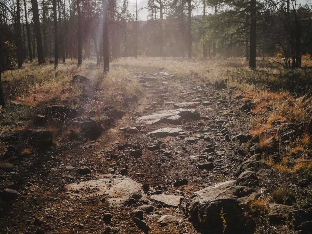 Frog Tank Loop trail photo
