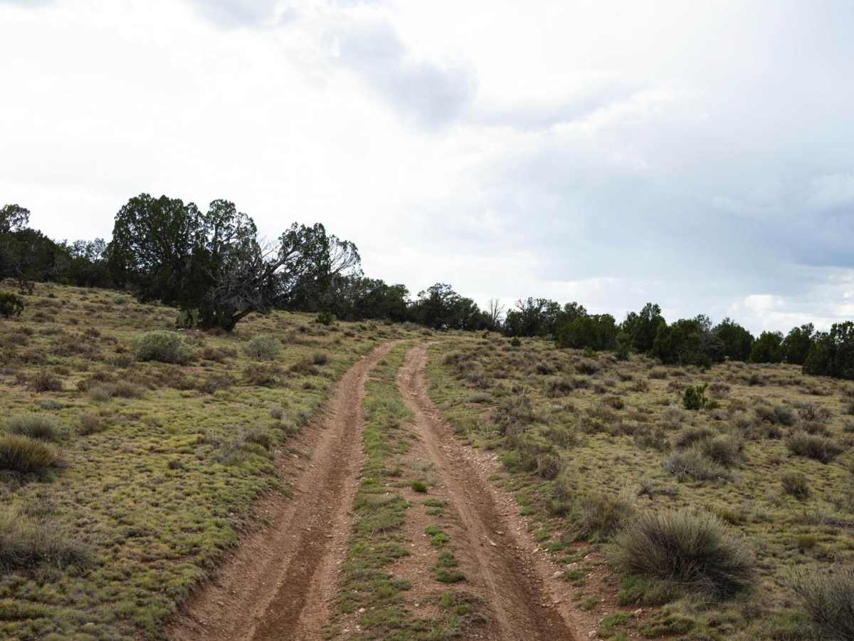 Rut Haven photo 3