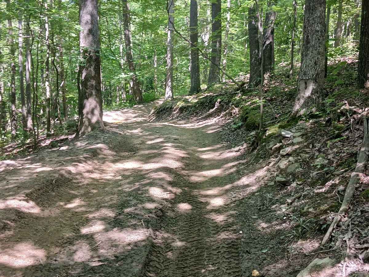 Gas Line Cut Off - Rock Run Recreation Area photo 5