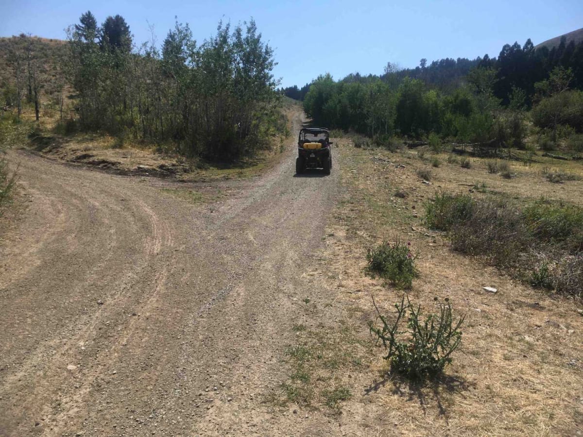 Ramsey Mountain Road photo 3