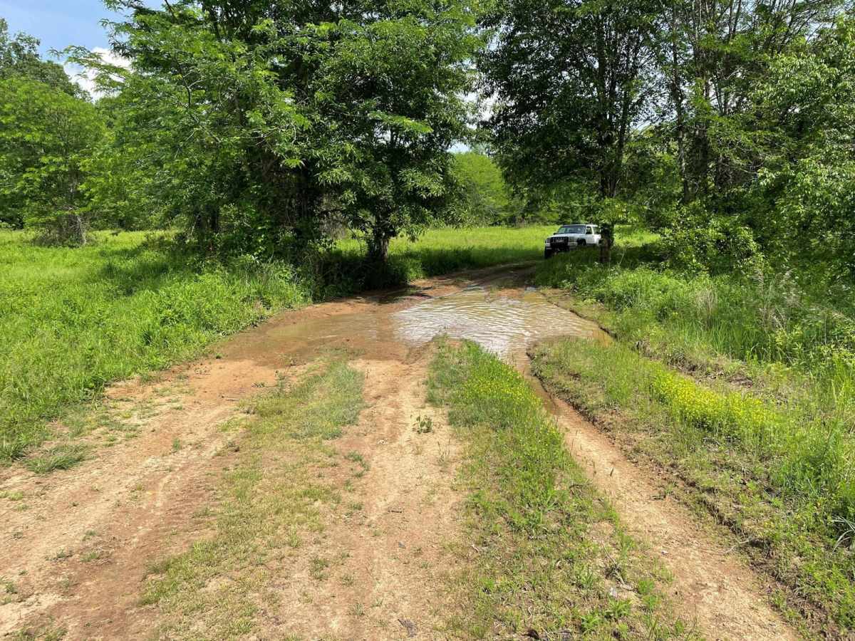 Lone Star School Road (FS 3824) photo 3