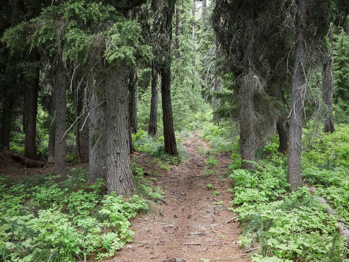 Flume Ridge ATV photo 2