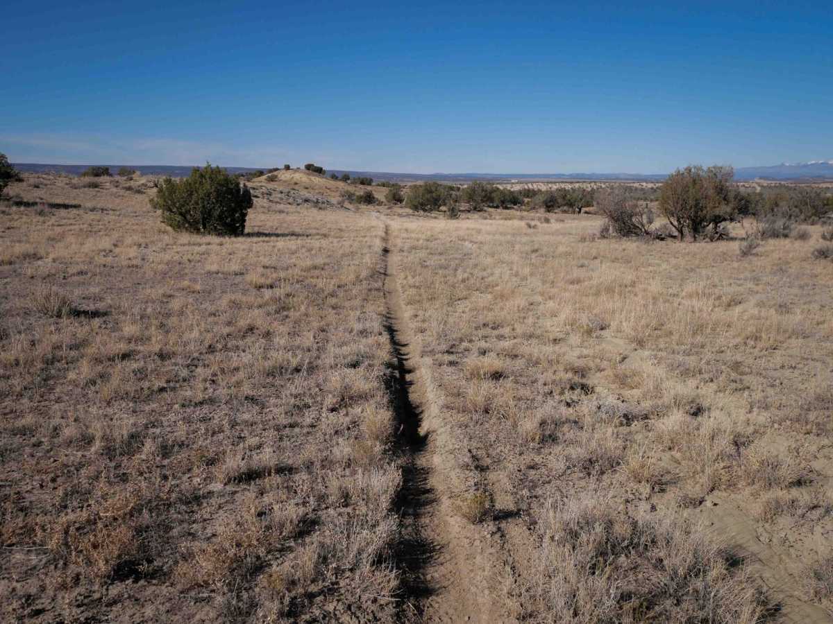 Ridge Singletrack photo 5