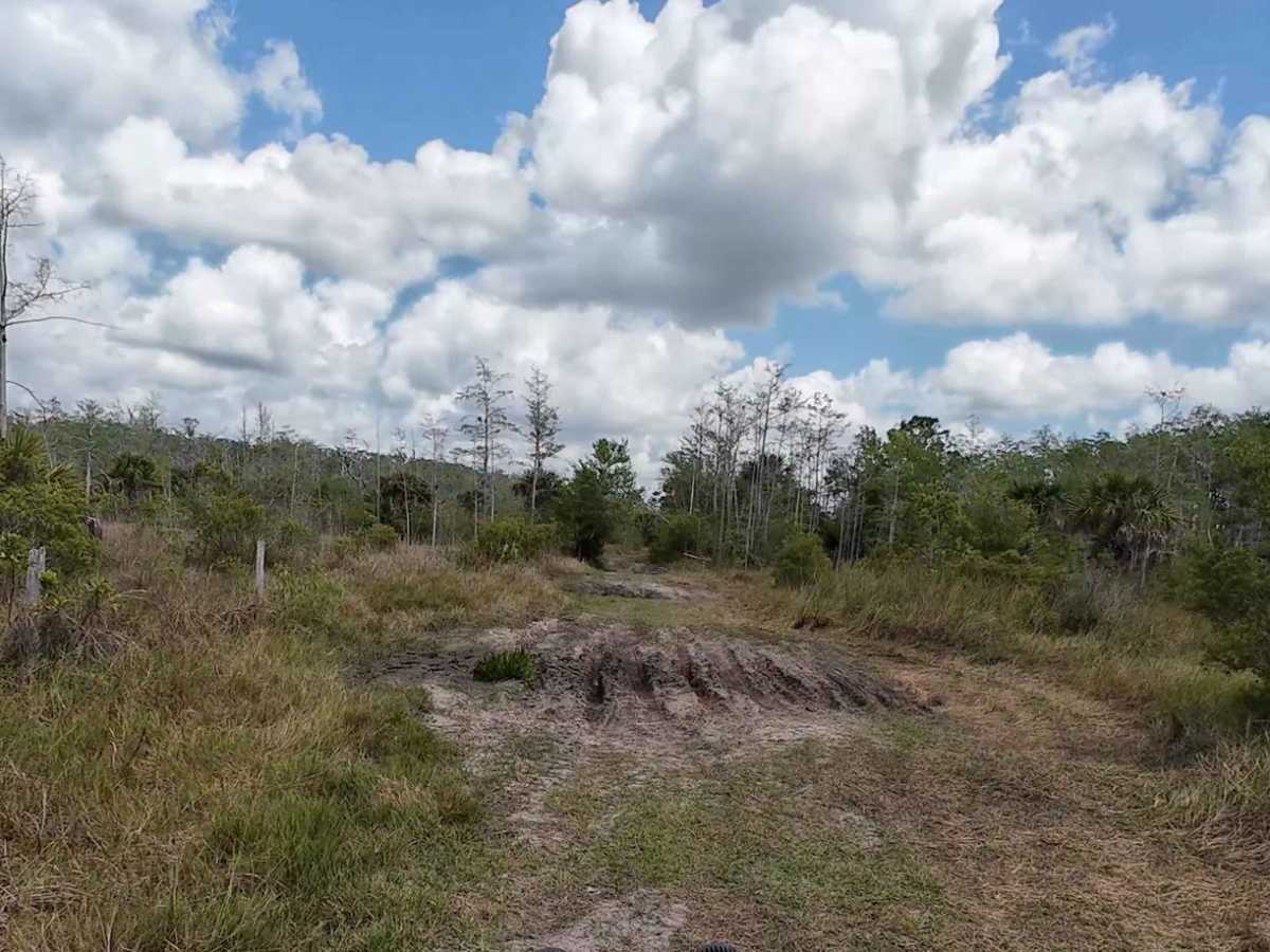 Blu 4 Trail photo 6