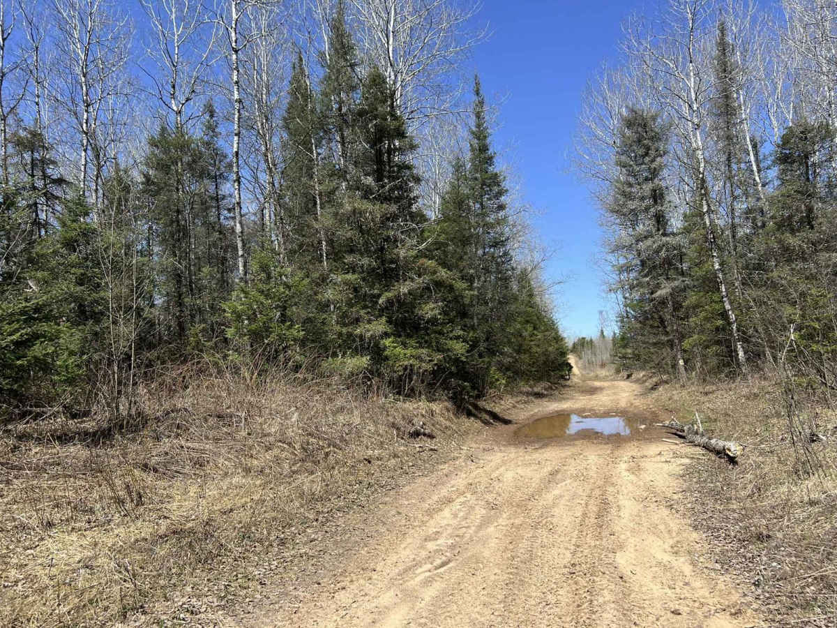 Norway Truck Trail 2 South Loop photo 6