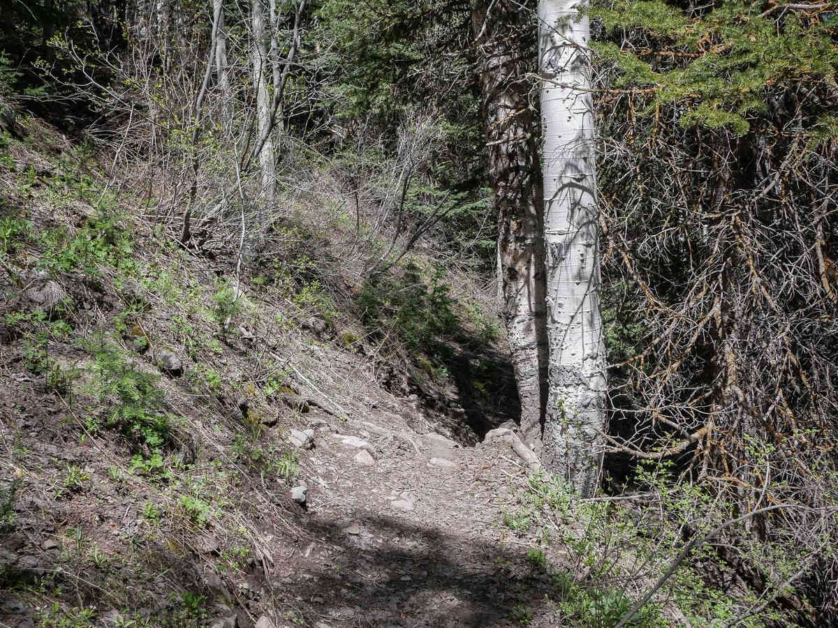 Third Water Creek #236 photo 3