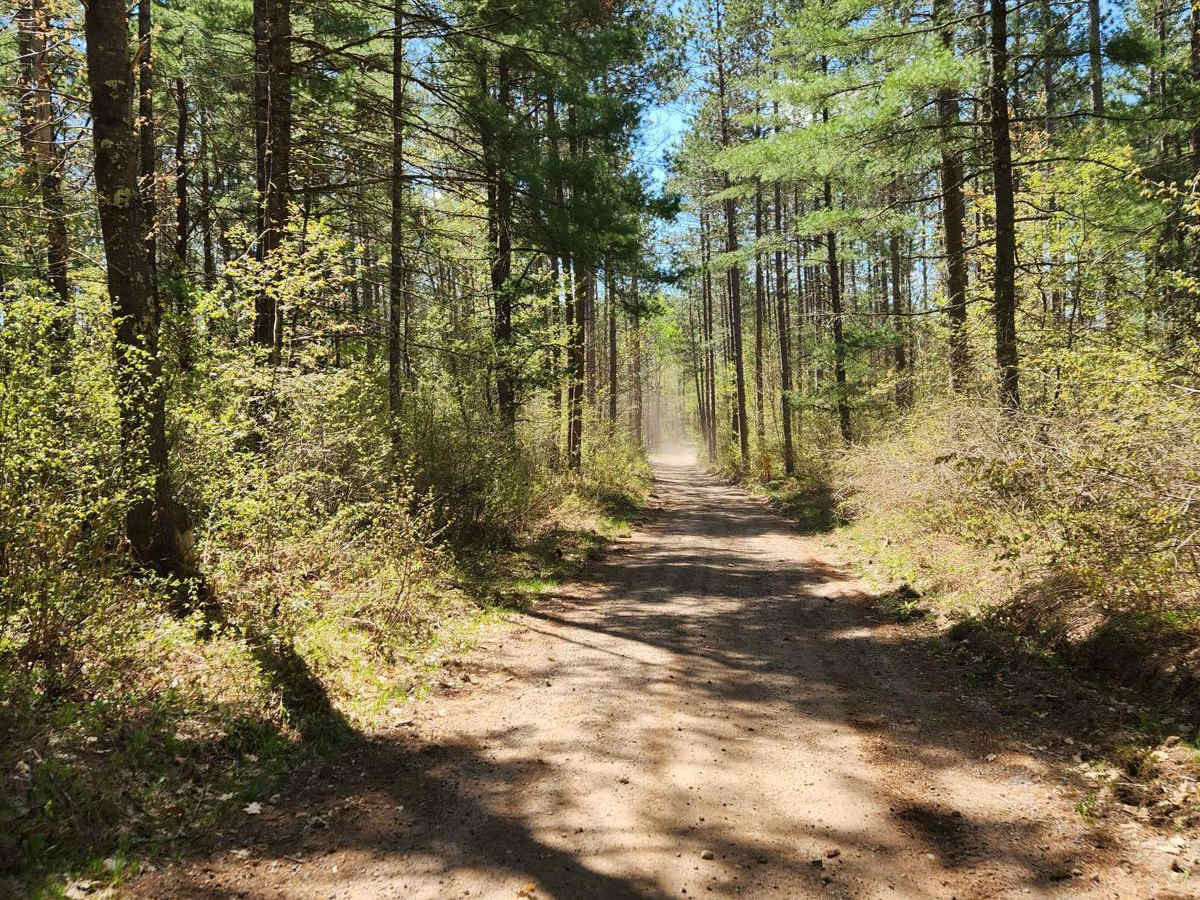 Trail 77 photo 4