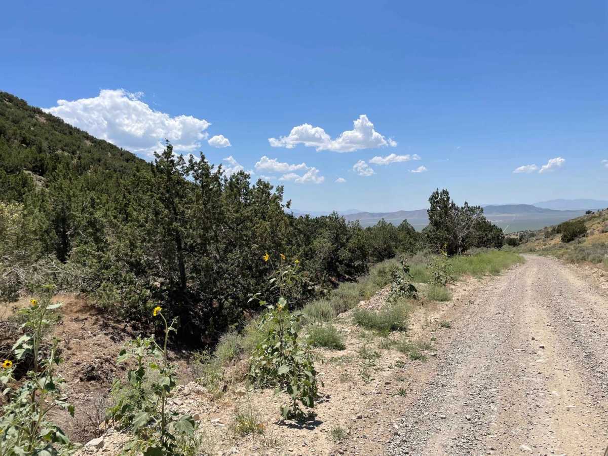 Israel Canyon Lake Mountains Pass photo 4