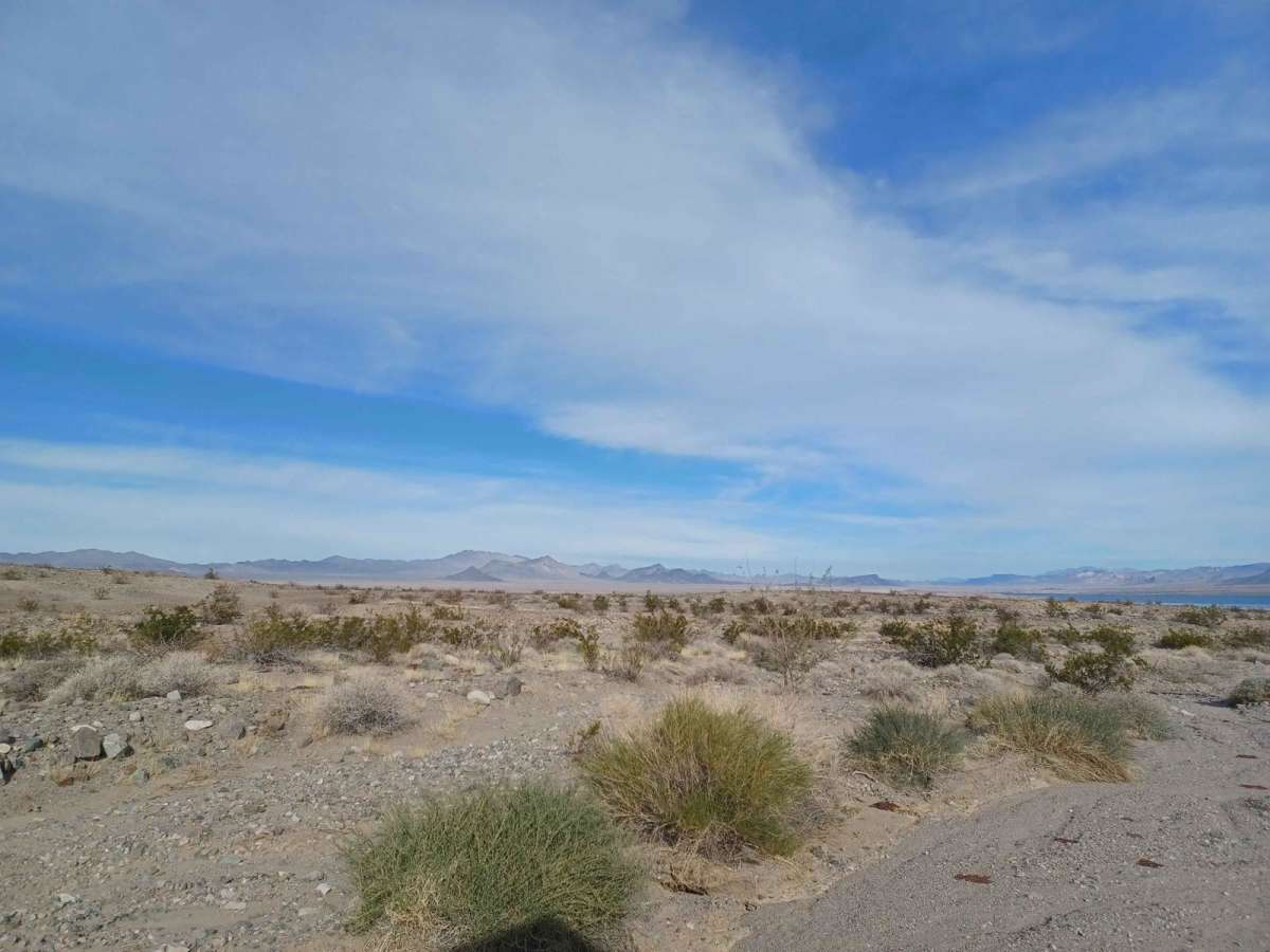 Nellis Cove Road photo 3