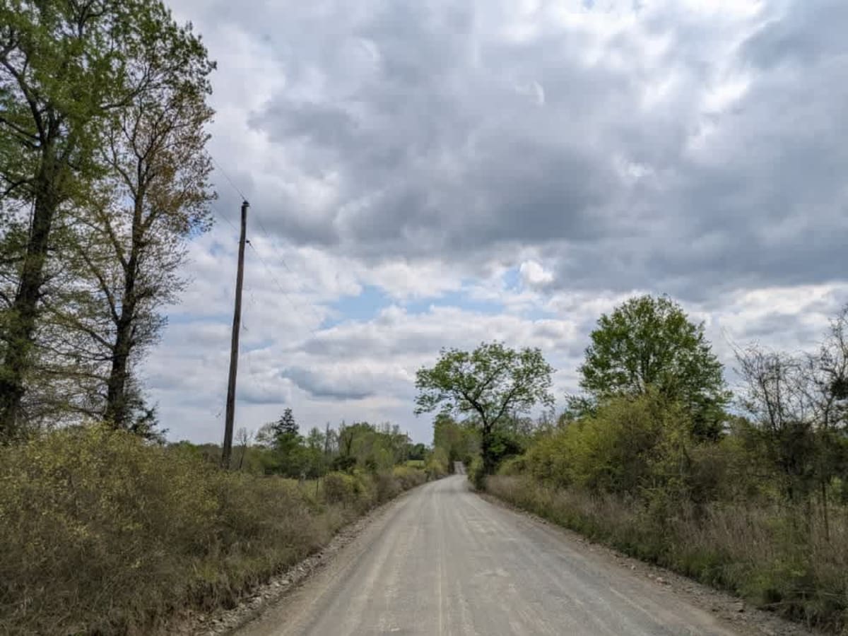 Clearwater Road photo 4