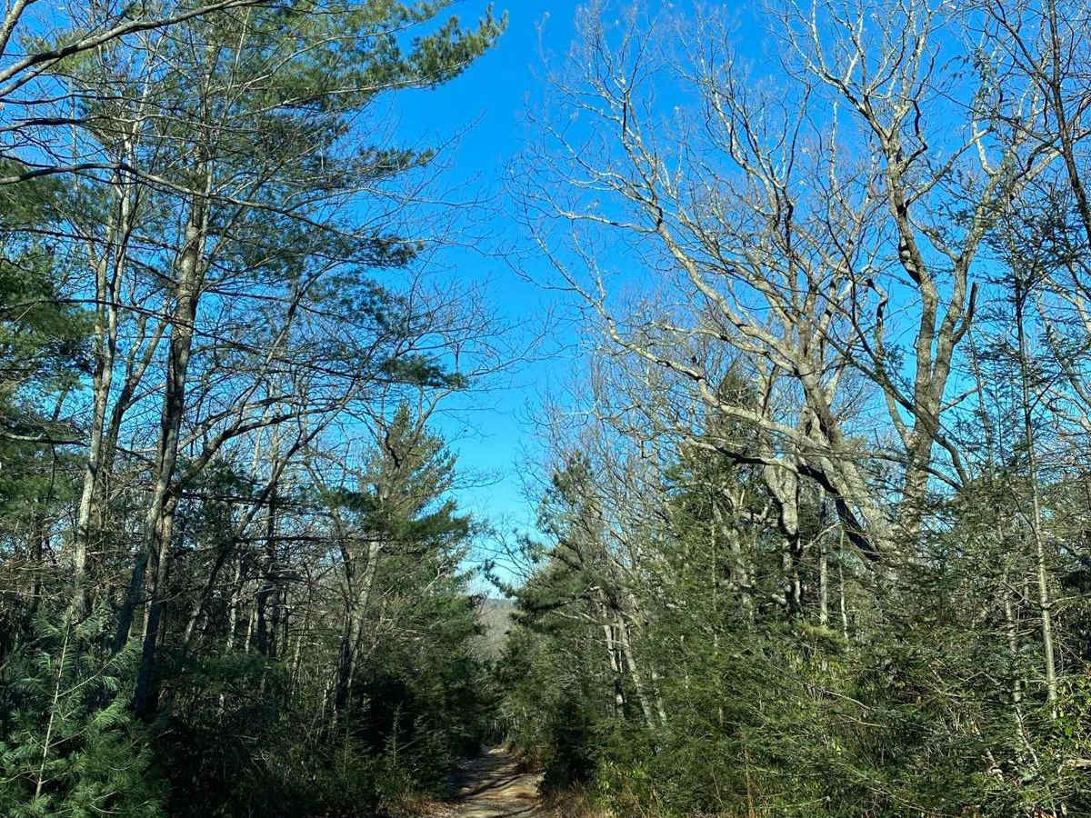 FSR 72 Long Run Road photo 5