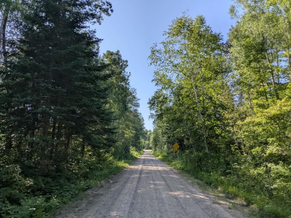 FS 2101 trail photo