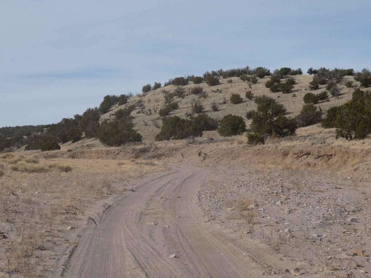 McGee Spring photo 4