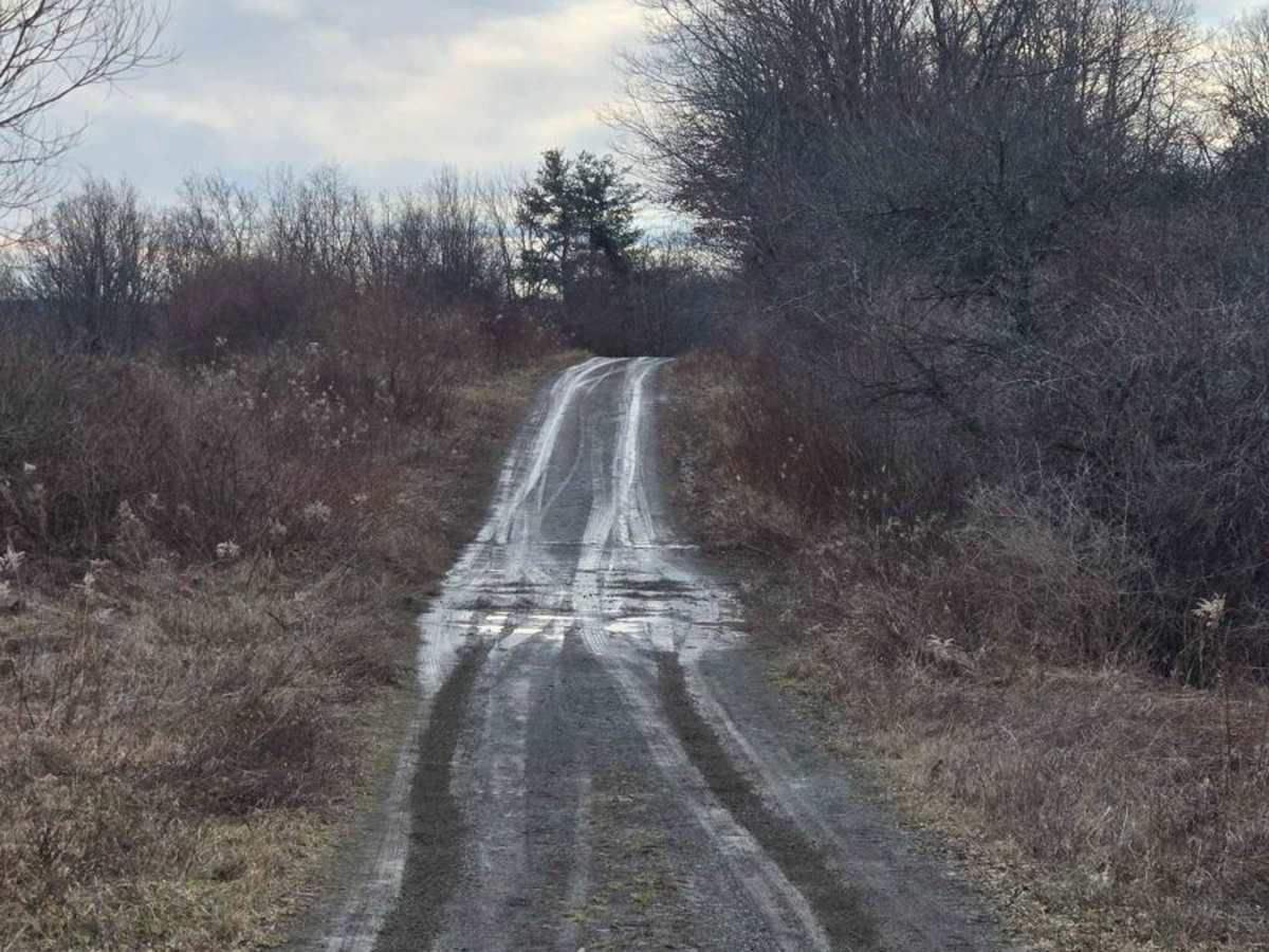 Van Amburg Road trail photo