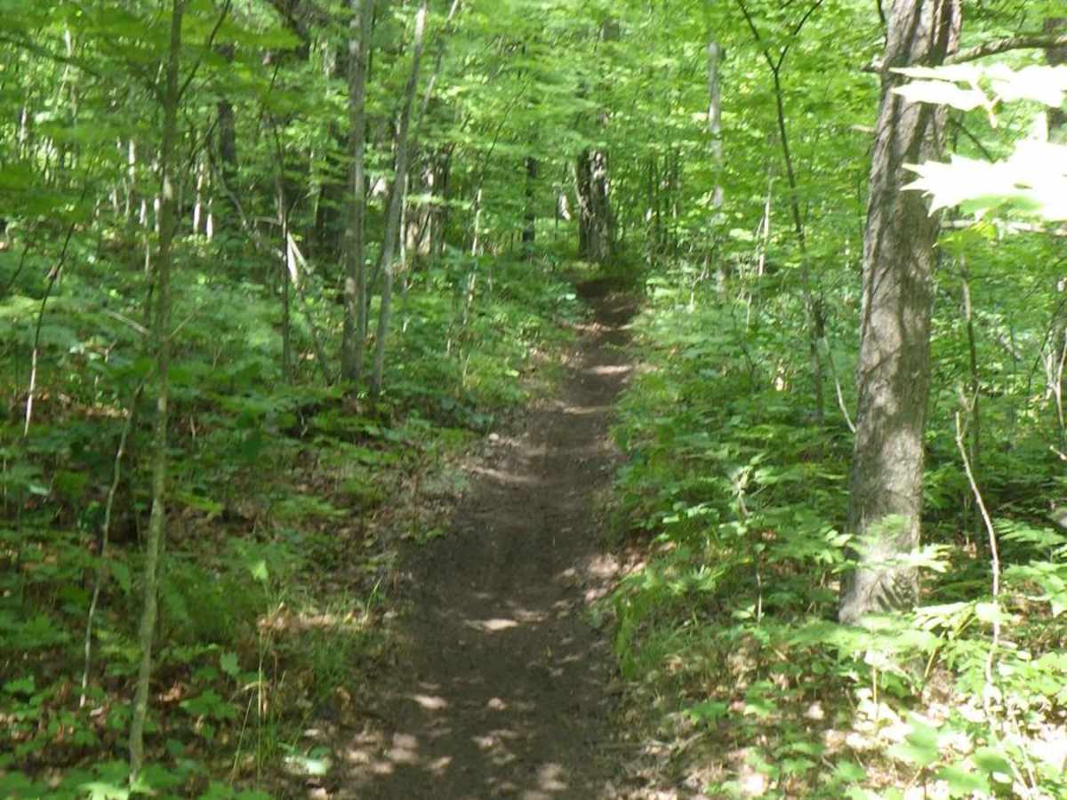 Beaver Creek MCCCT-Trail 14808 photo 5