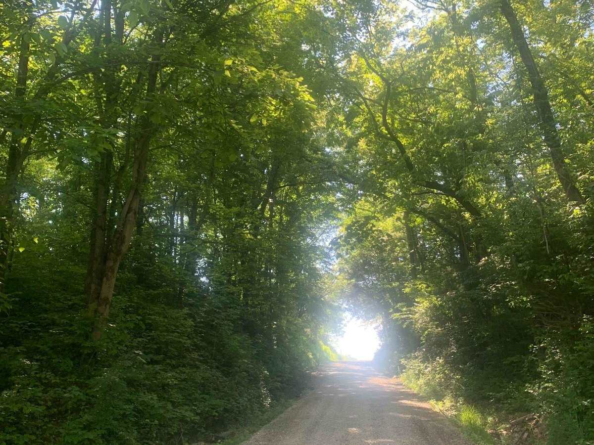 County Road 500 South photo 5