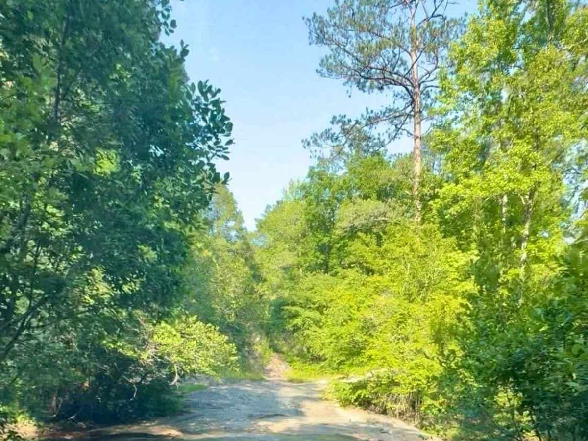 Bridge Out Trail photo 3