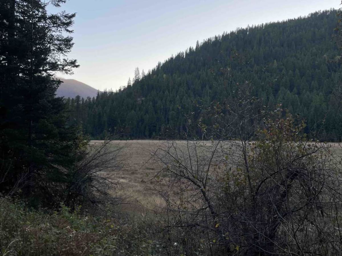 Jocko Canyon Road photo 5