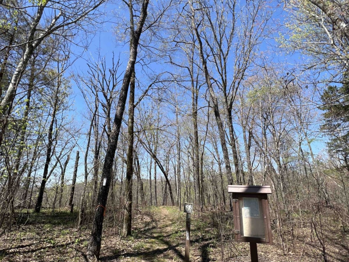 Ragtown/Mill Creek Rd 1509 photo 5