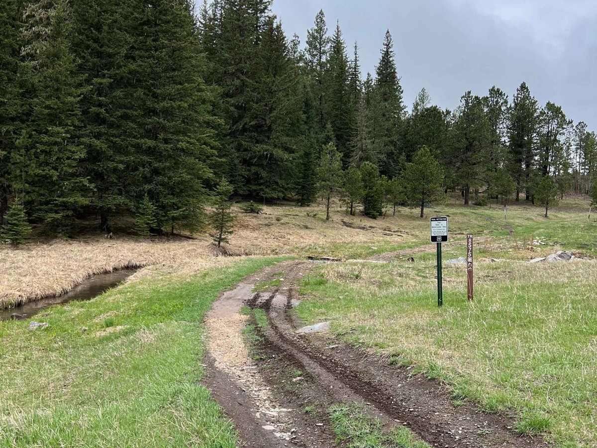 South Boxelder Creek Overpass trail photo