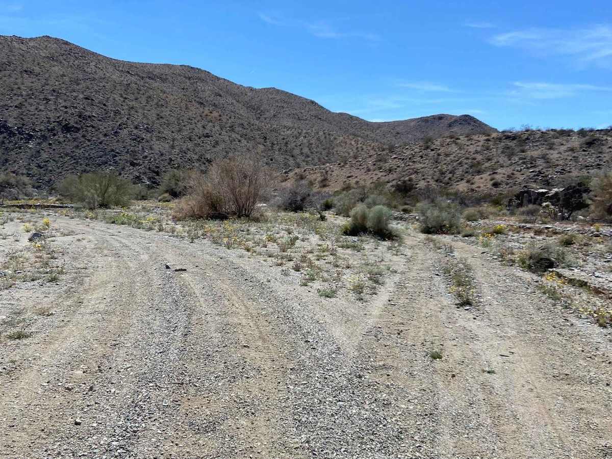 Pinkham Canyon to Thermal Canyon Trail photo 5
