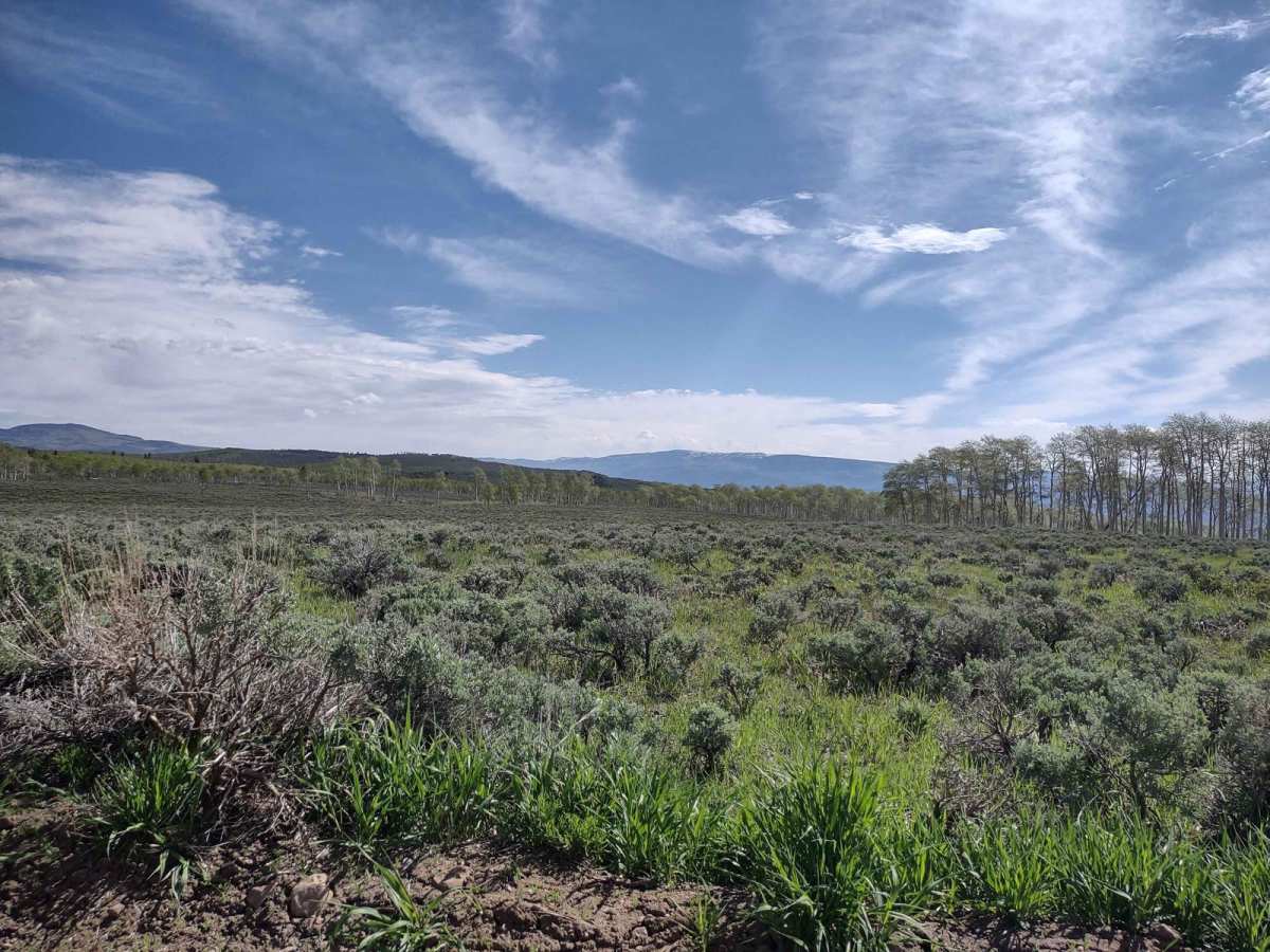 Monroe Mtn Road to Upper Box Creek Reservoir (FS# 40068) photo 4
